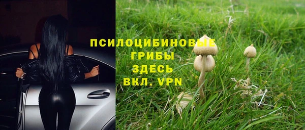 спиды Абаза