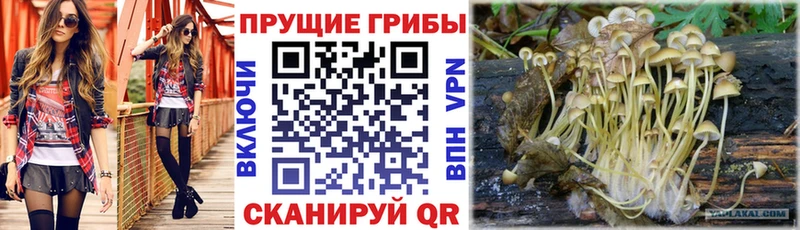 Галлюциногенные грибы MAGIC MUSHROOMS  Яровое 
