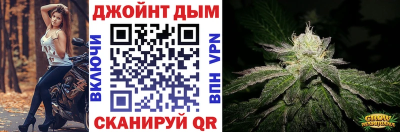 купить  цена  Яровое  Канабис SATIVA & INDICA 